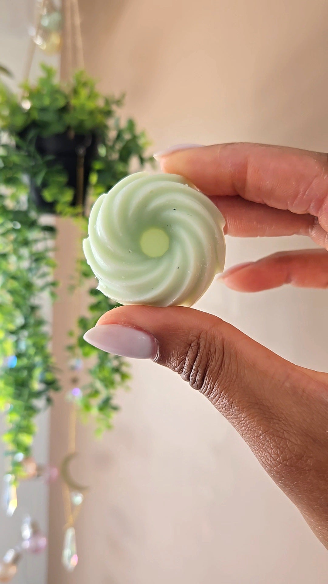 Fondant Aloe vera 🌿